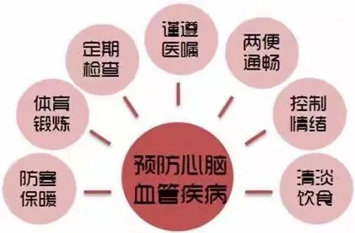 檢測腦血管疾病的醫(yī)療器械——經(jīng)顱多普勒血流分析儀